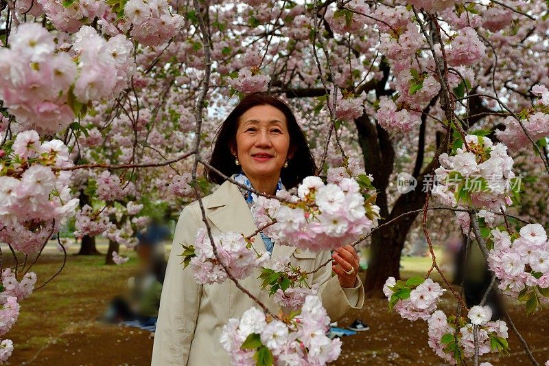 日本女子在东京赏樱花