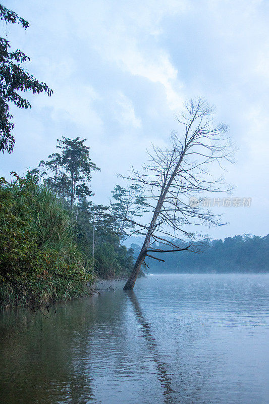 马来西亚:kinabahandriver