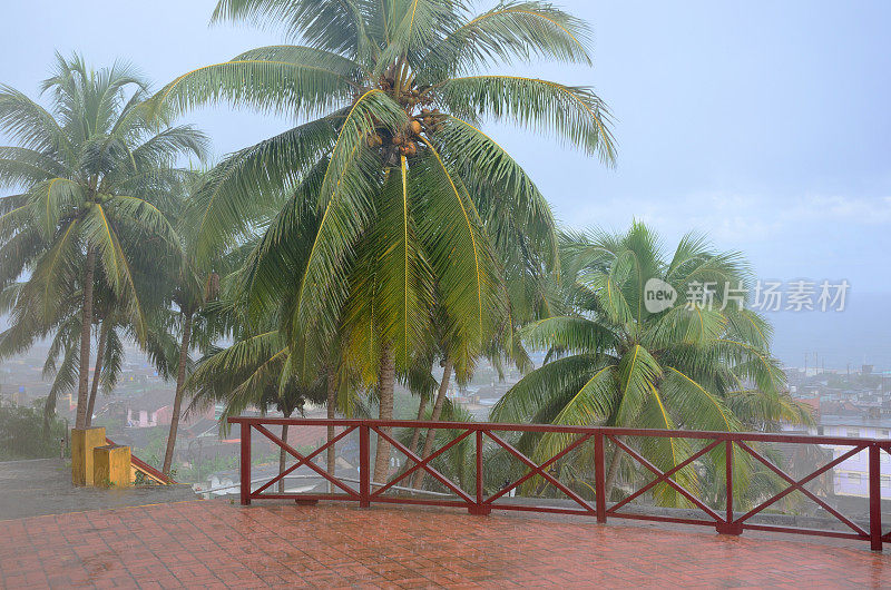 沉重的热带雨