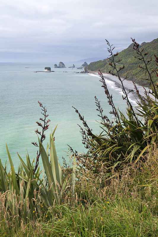 沿伊丽莎白角步行道的风景