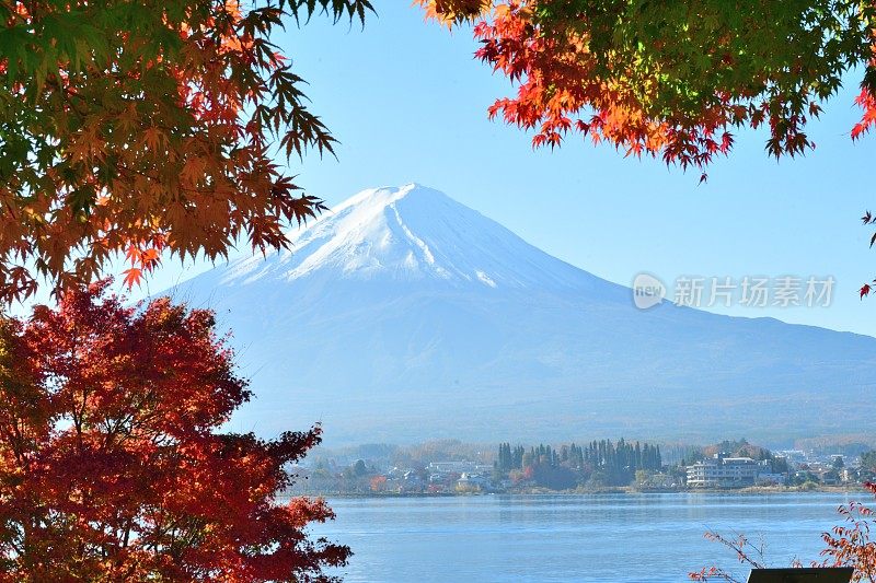 日本富士五湖地区的富士山和秋叶色