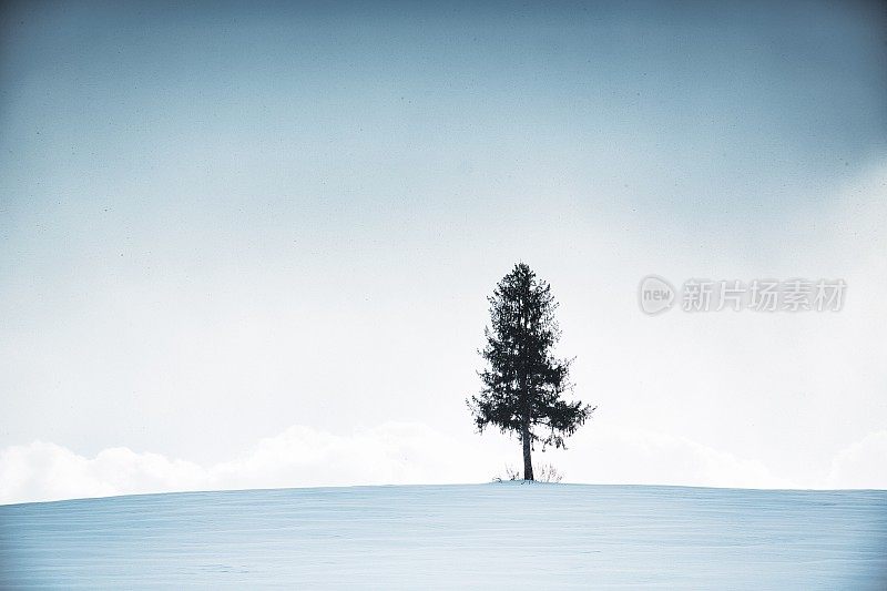 冬天的风景。Biei日本北海道