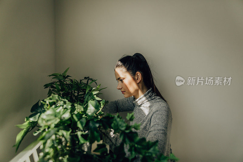 年轻女子独自在家整理植物