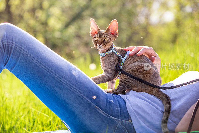 成年妇女宠物主人放松与她的小猫在草地上-股票照片