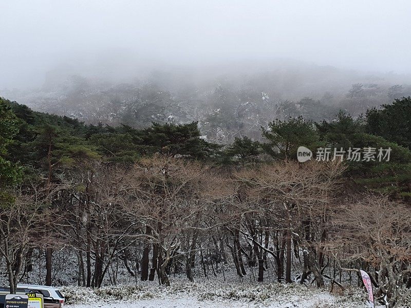 济州岛的第一场雪