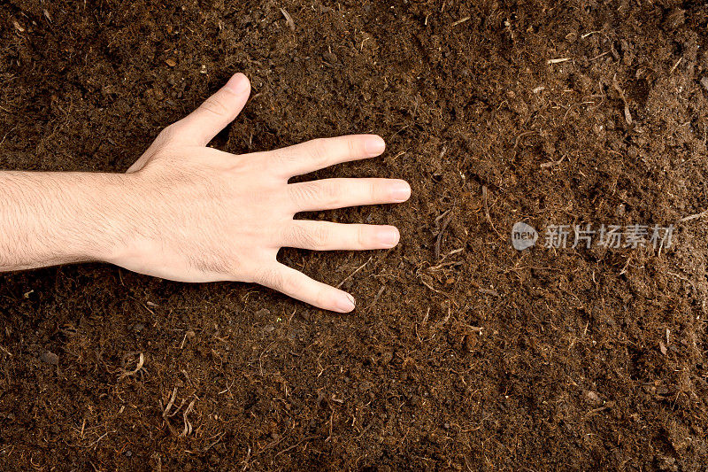 手摸土壤，男人的手摸出花园土壤的质地、背景