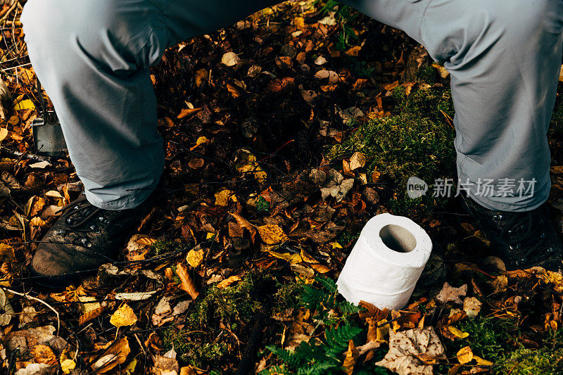 生态友好的森林便便系列