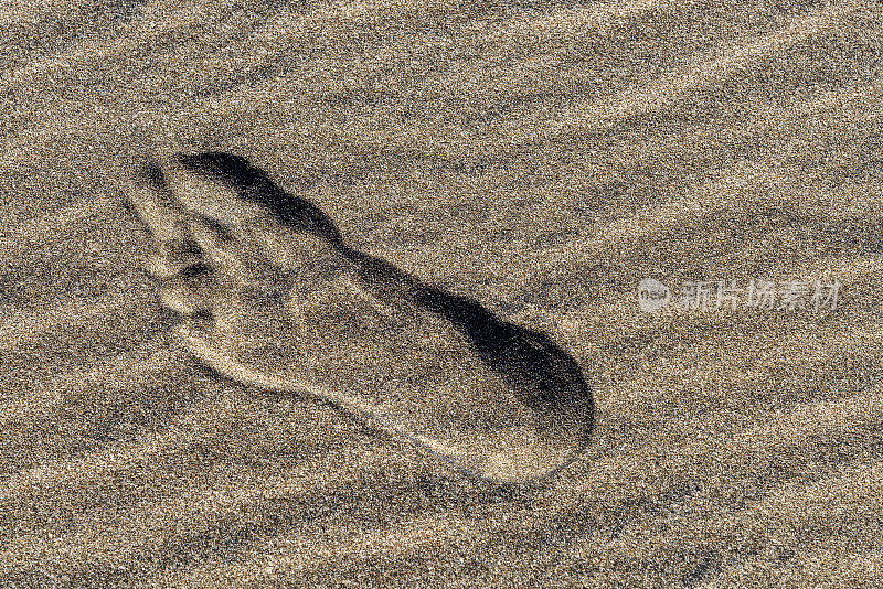 一个脚印留在海边的沙滩上
