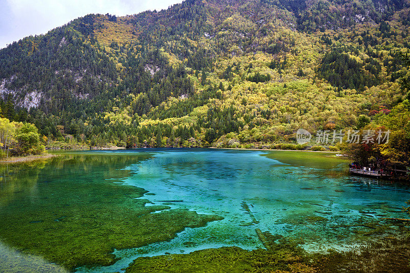 九寨沟公园里美丽的湖