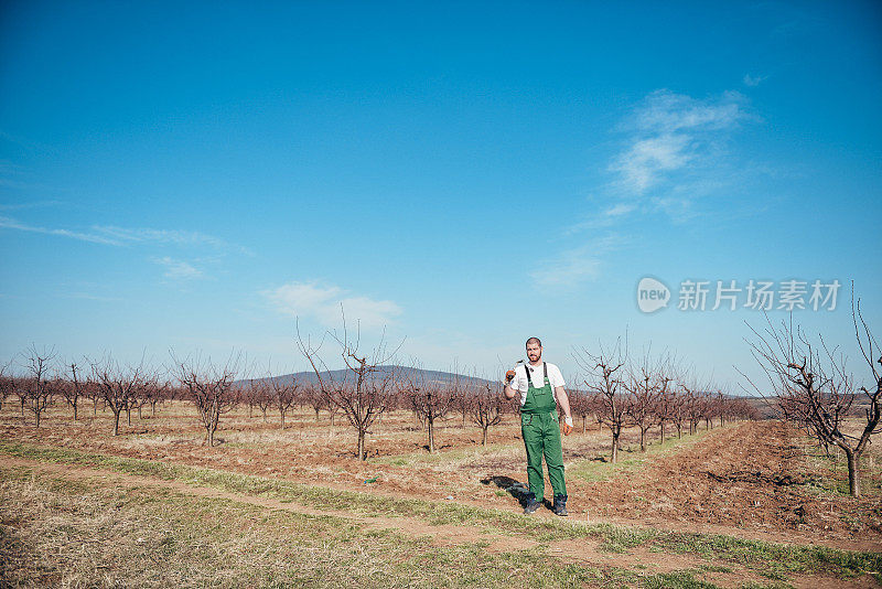 农民正在修剪果树