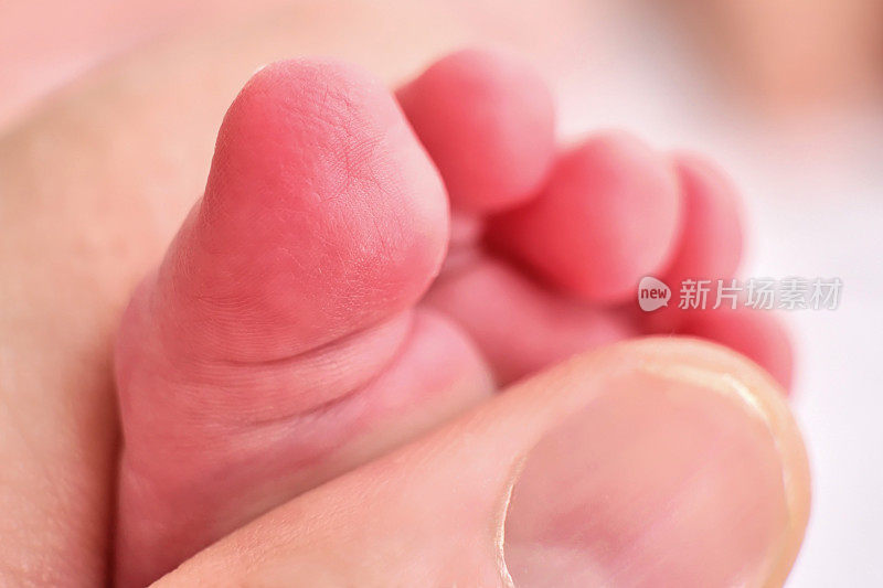 手指放在一个成年人的手上，脚趾放在一个新生儿的脚上，微距照片