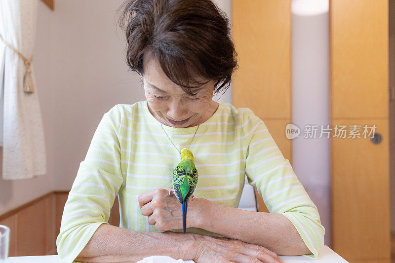 老女人和宠物鸟玩