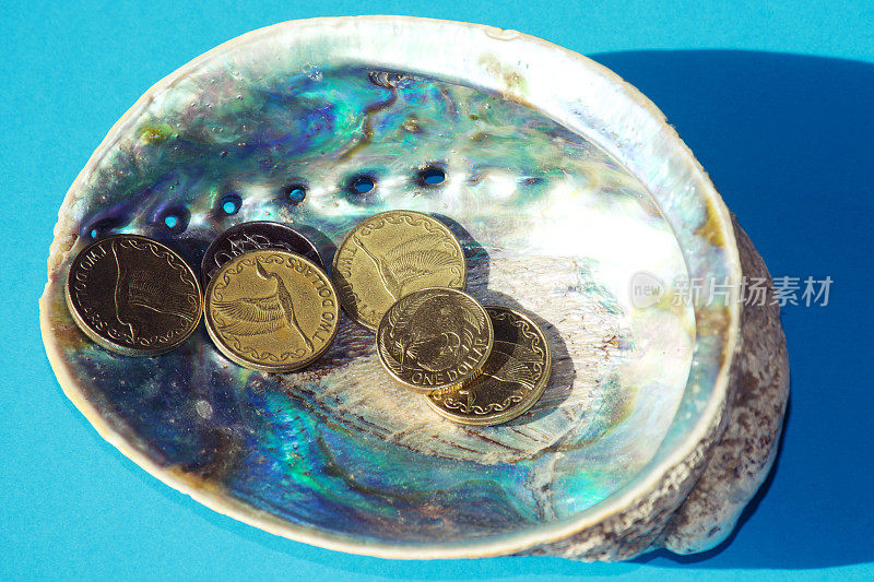 带有鲍鱼壳的新西兰货币(NZD)
