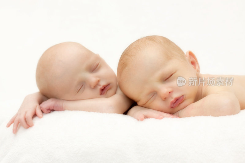 刚出生的双胞胎睡觉