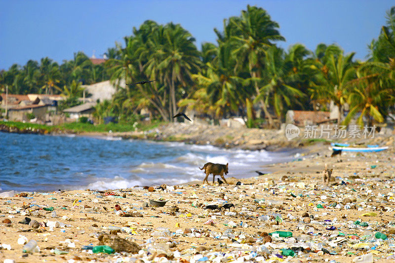 游客在海滩上留下的垃圾。