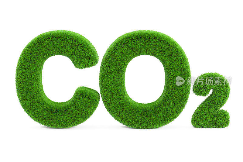 二氧化碳草铭文，3D渲染孤立在白色背景