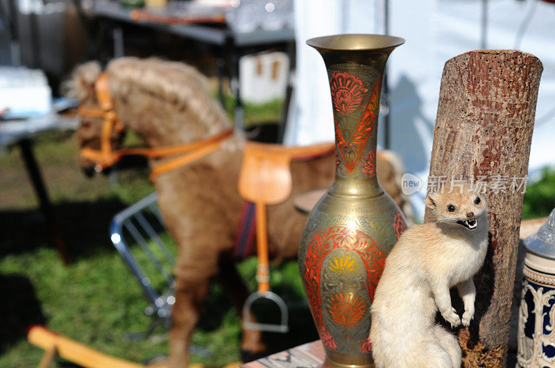 黄鼠狼标本和跳蚤市场上的花瓶