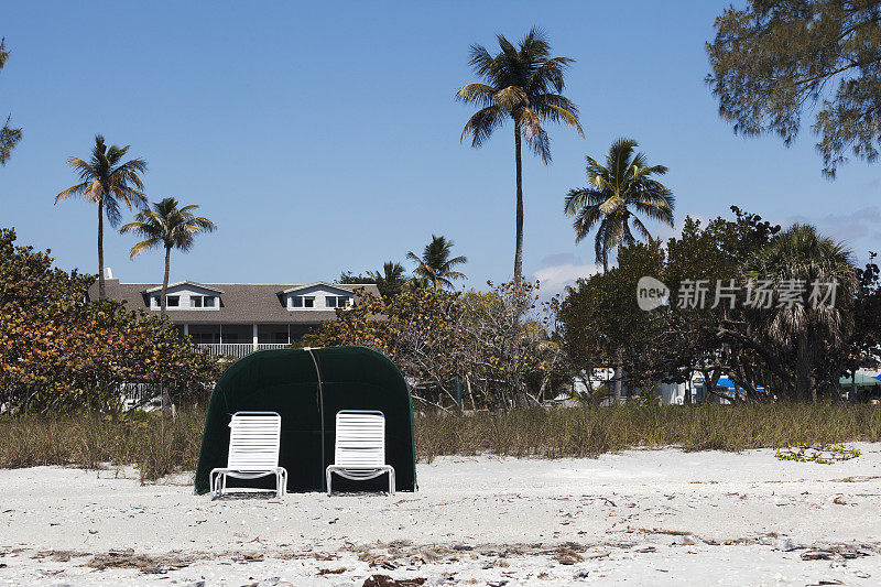 空旷的沙滩椅和晴朗的蓝天下的天篷