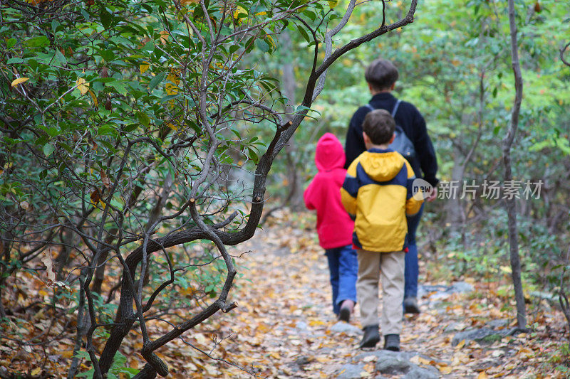 一家人在森林里徒步旅行(母亲和两个年幼的孩子)