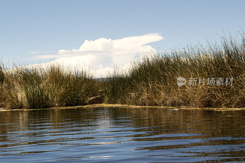 漂流景观