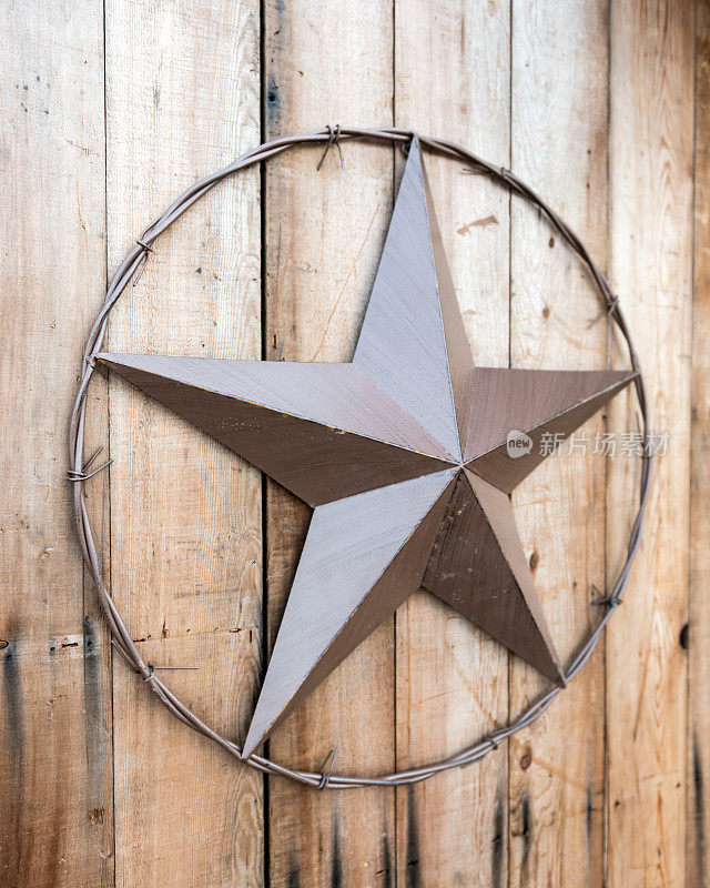 德克萨斯州的明星