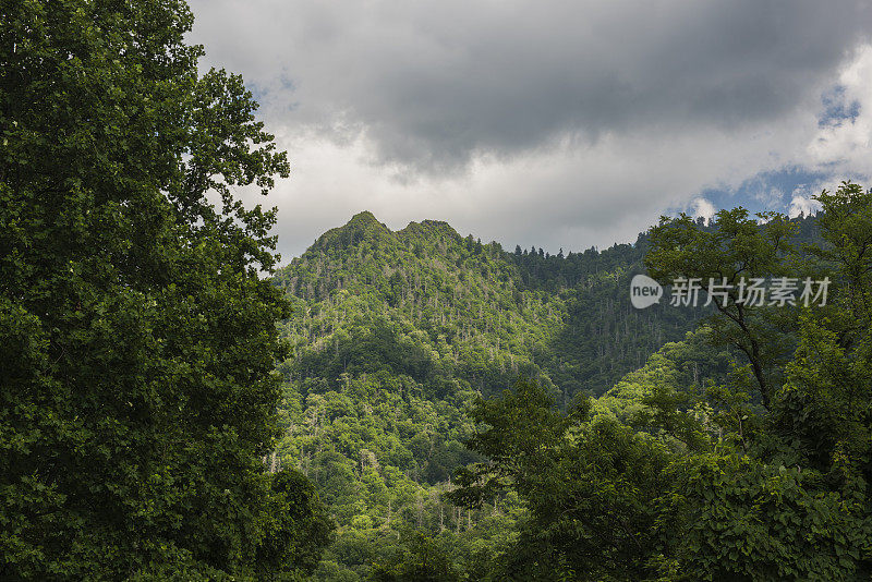 大烟山国家公园的烟囱顶