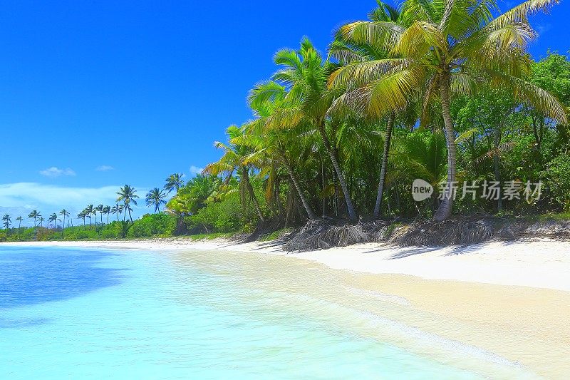 热带天堂放松夏天的梦幻风景:蓝绿色的加勒比海滩，白色的沙滩