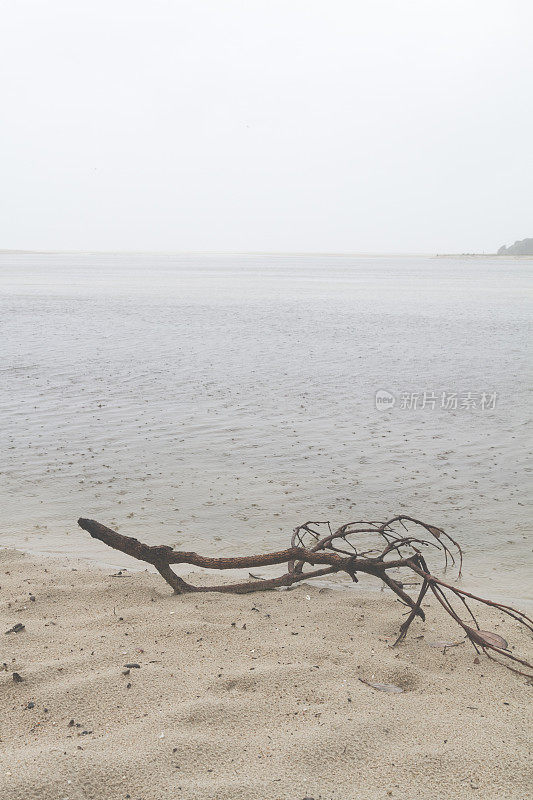 雨中的海滩。