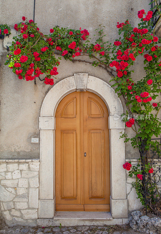 意大利:带花盆的门