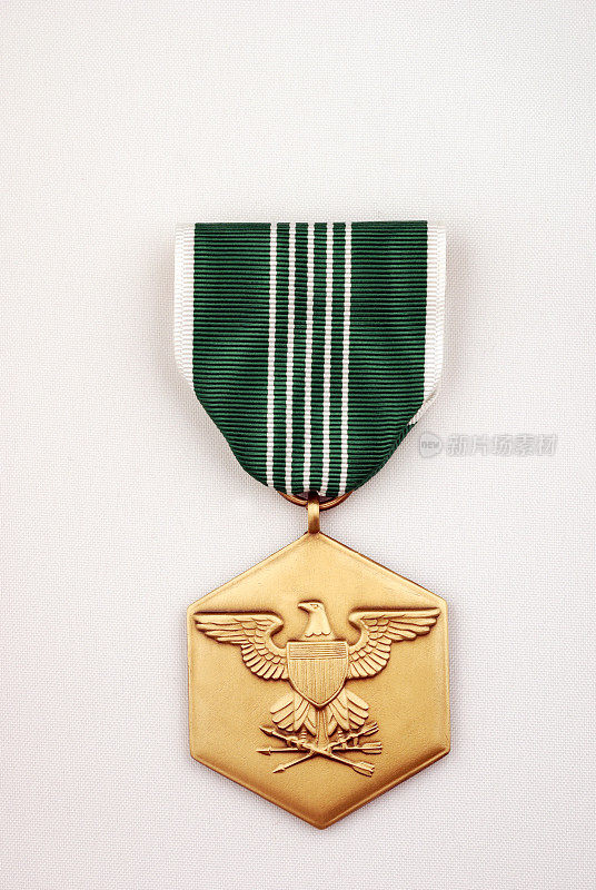 美国陆军表彰奖章