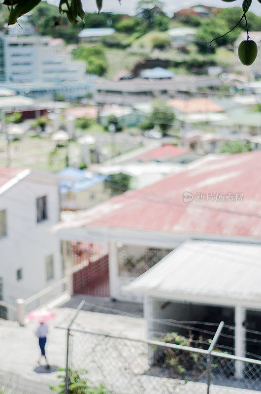 邻居场景模糊和芒果树在前景