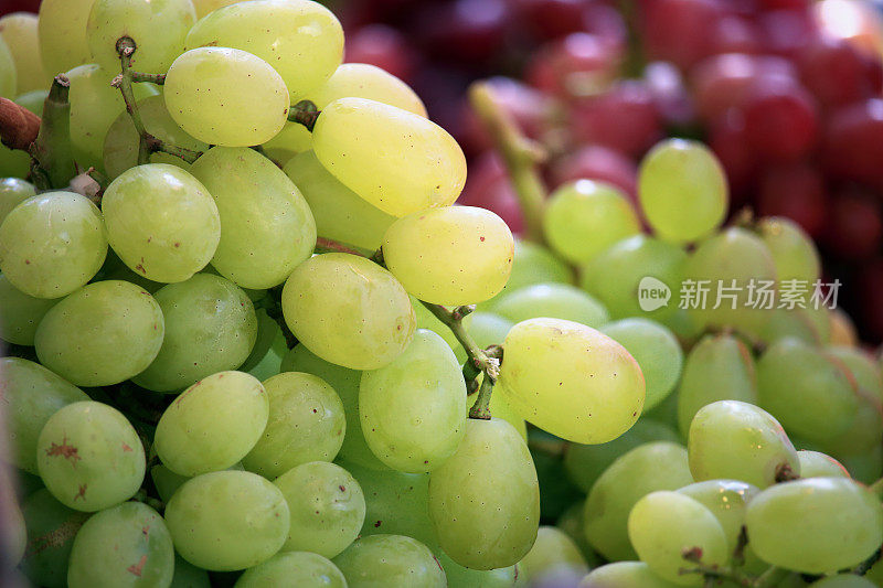 农贸市场上成熟的绿、红葡萄