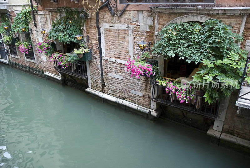 威尼斯运河上的阳台花