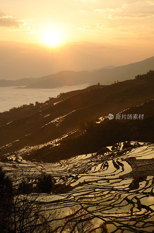 美丽的梯田风景