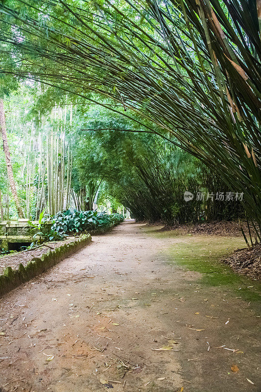 植物园