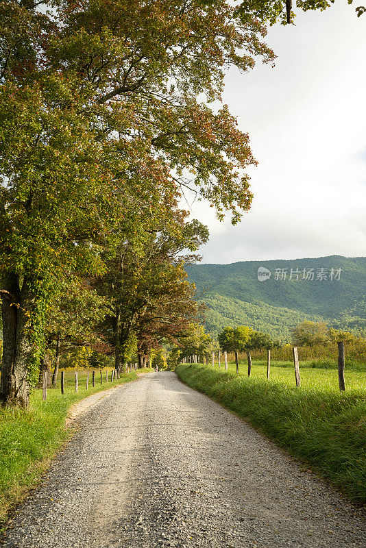 田纳西州卡德斯湾的土路两旁有栅栏