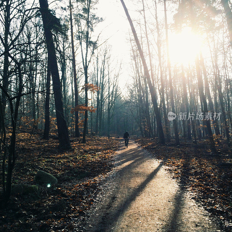 孤独的自行车手穿过清晨的树林