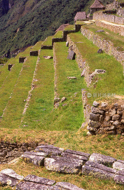 马丘比丘遗址和农业梯田的特写秘鲁南美洲