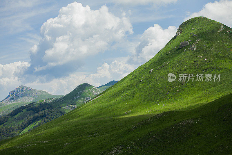 草木-高山下的山丘;