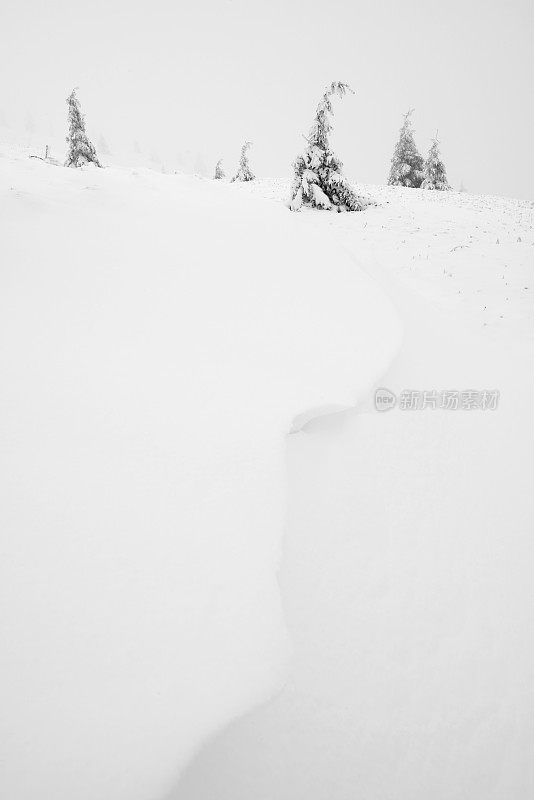 冬季景观与松树覆盖的雪山