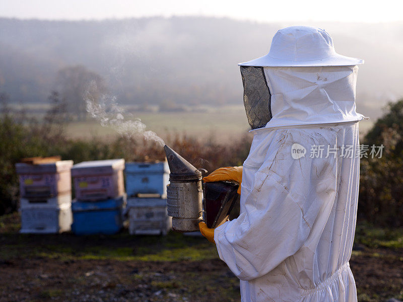 养蜂人在工作