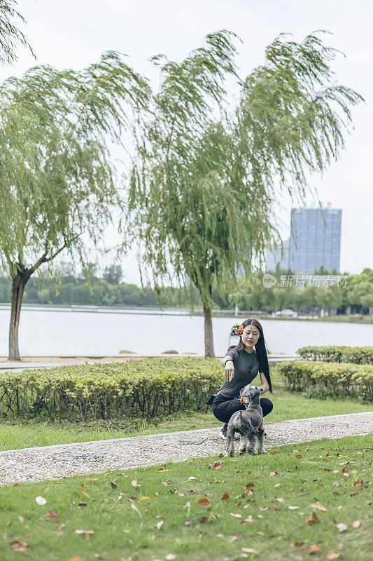 美丽的女主人和她的小狗雪纳瑞在公园里玩