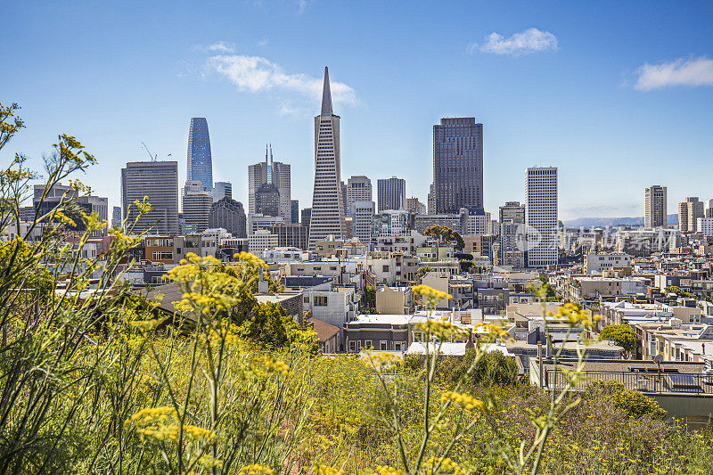 美国加州旧金山市中心的春天