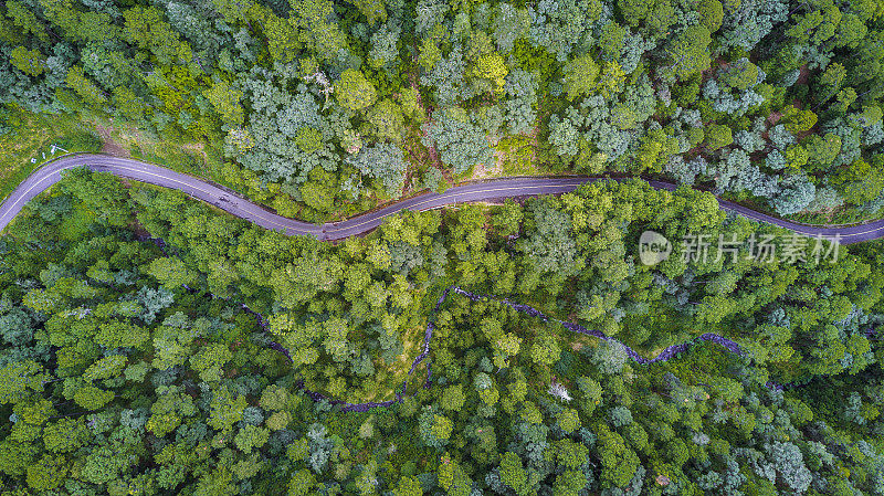 空中的森林与道路