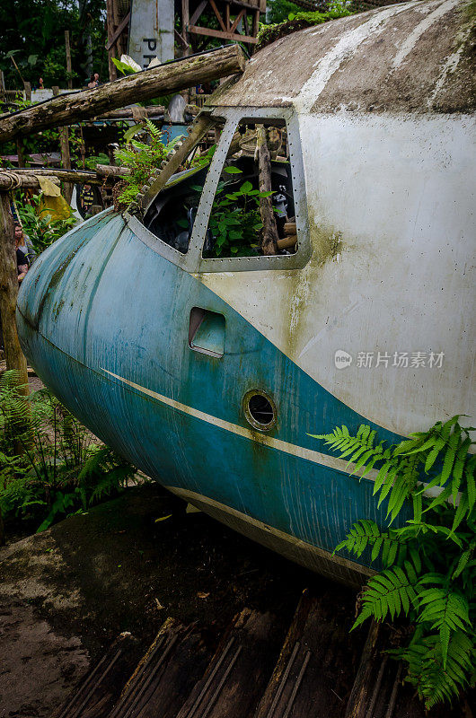 一架坠毁飞机的驾驶舱在绿色和植物的丛林中。