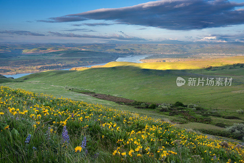 哥伦比亚山州立公园，华盛顿