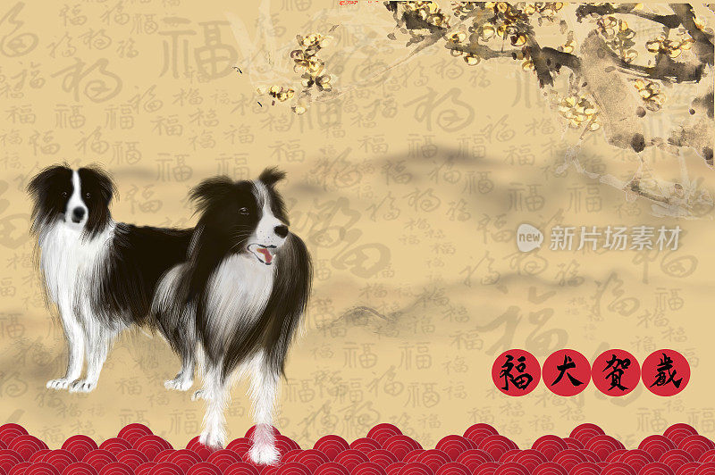 狗年,新年,春节,牧羊犬