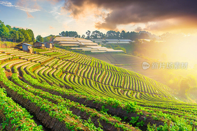 泰国北部的山景，日出和薄雾