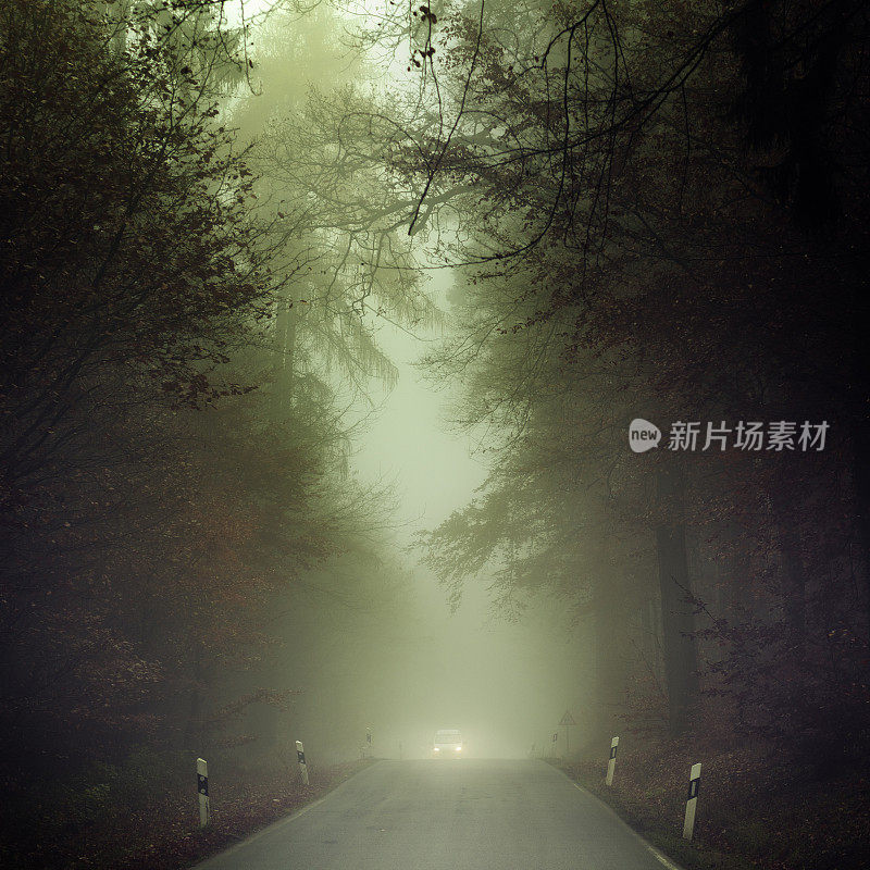 森林路上大雾弥漫，迎面而来的车辆