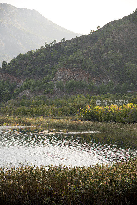 湖景